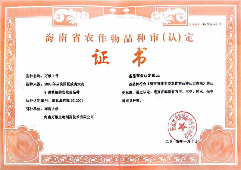 萬維1號品種認定證書.JPG